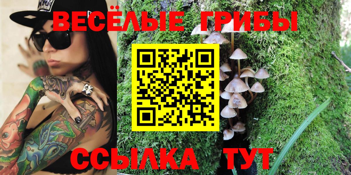 Псилоцибиновые грибы мухоморы Камень-на-Оби