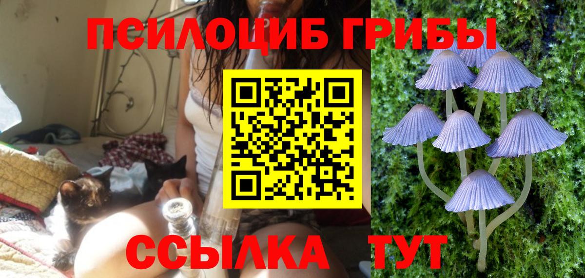 Галлюциногенные грибы GOLDEN TEACHER  Псилоцибиновые грибы MAGIC MUSHROOMS  Камень-на-Оби  Вход с VPN 